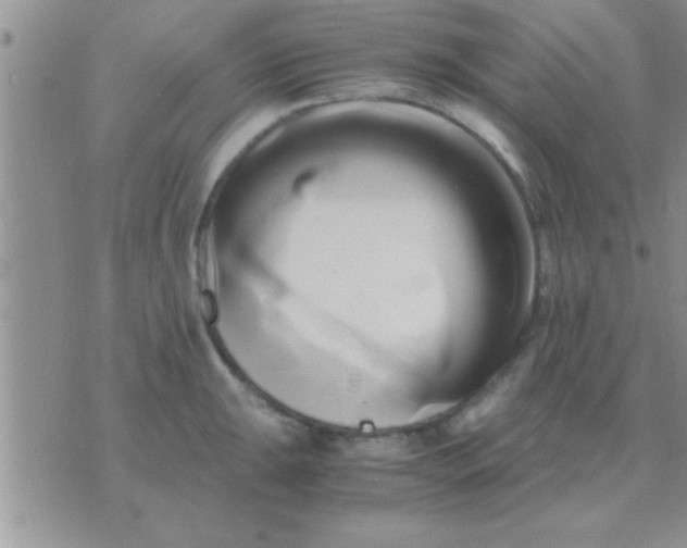 X0000071381047200607142105