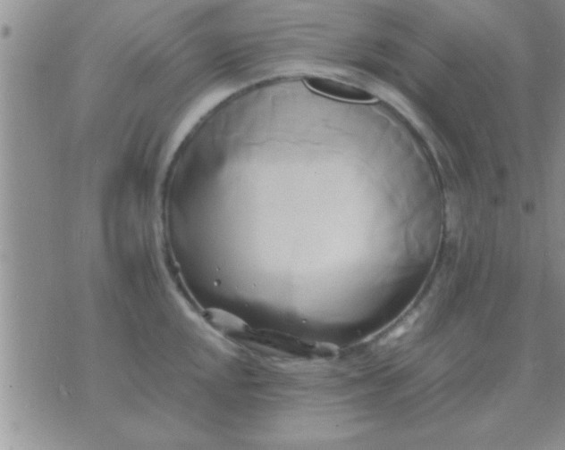 X0000071381048200607142105