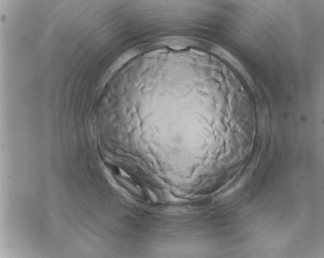 X0000071381049200607142105