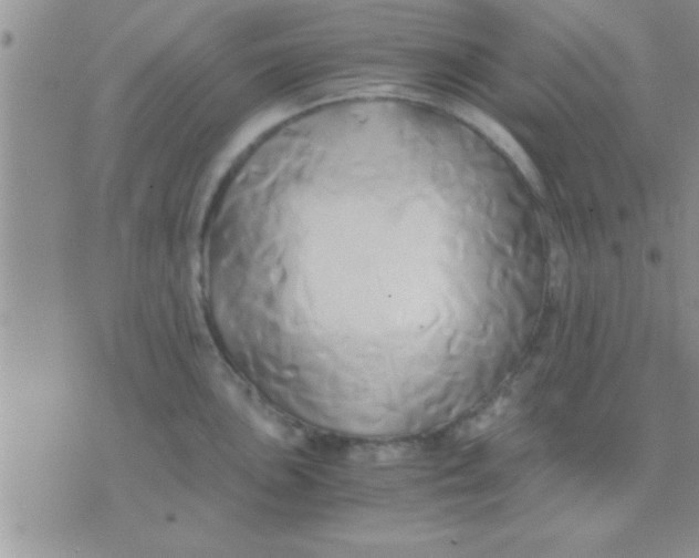 X0000071381051200607142105