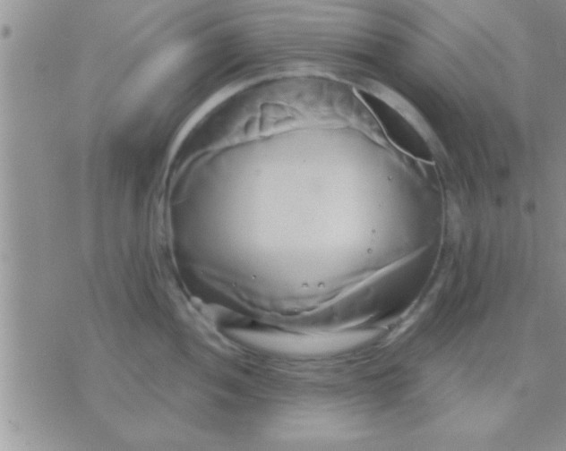 X0000071381052200607142106