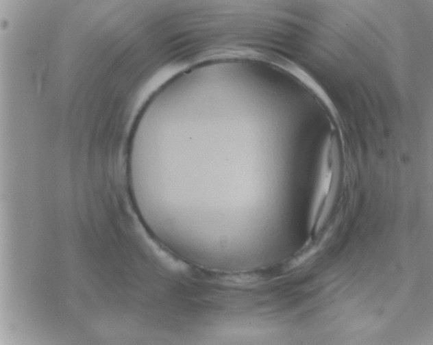 X0000071381053200607142106