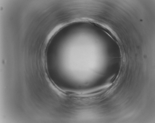 X0000071381054200607142106