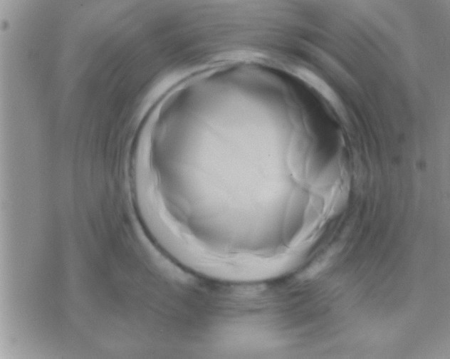 X0000071381055200607142106