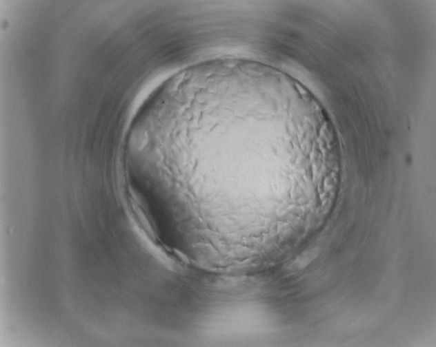 X0000071381056200607142106