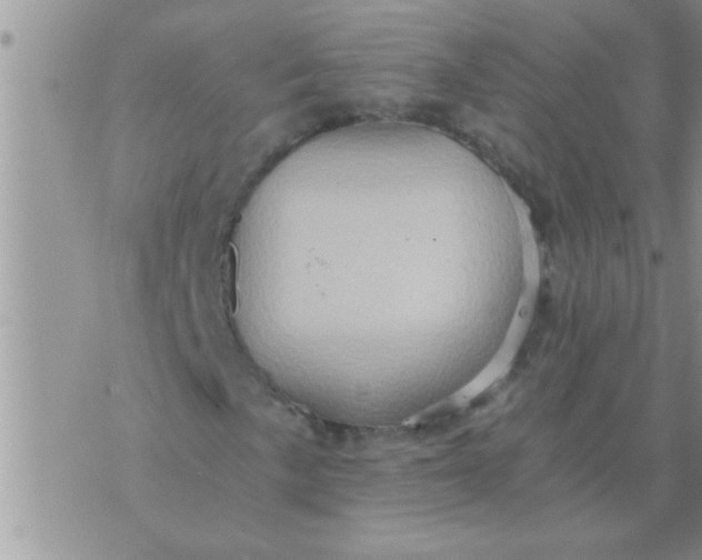 X0000071381057200607142105