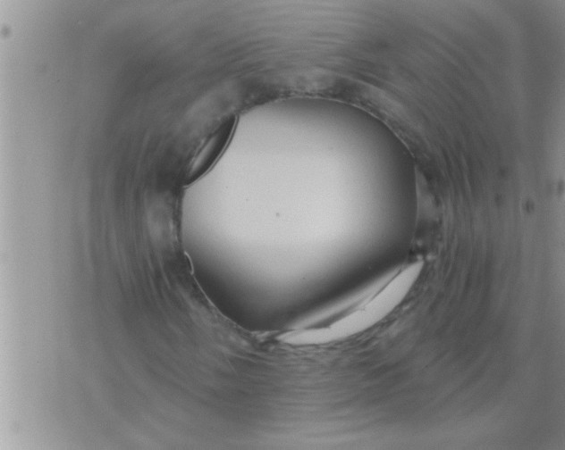 X0000071381058200607142105