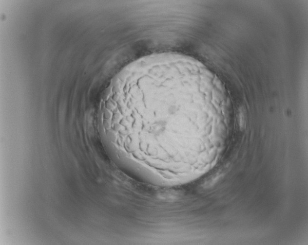 X0000071381059200607142105