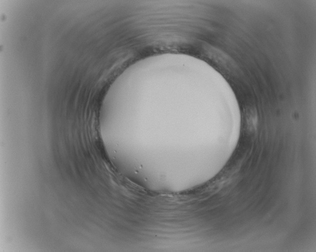 X0000071381060200607142105