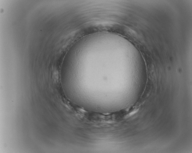 X0000071381061200607142105