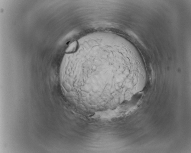 X0000071381063200607142105