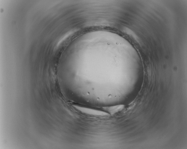 X0000071381064200607142105