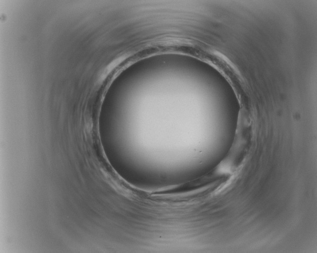 X0000071381065200607142105