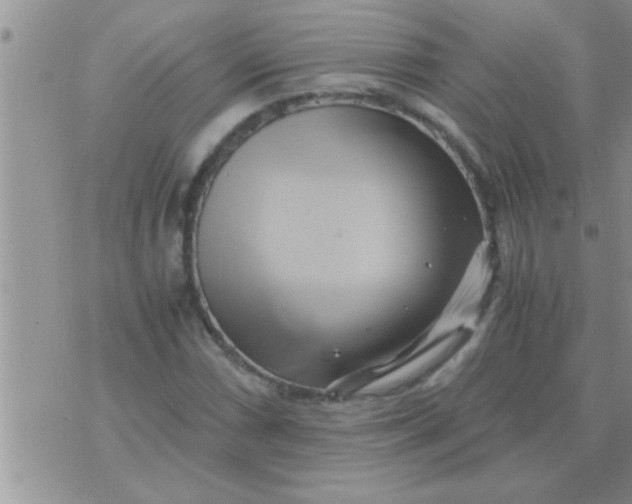 X0000071381066200607142105