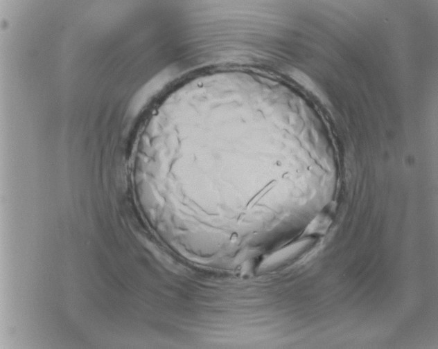 X0000071381067200607142105