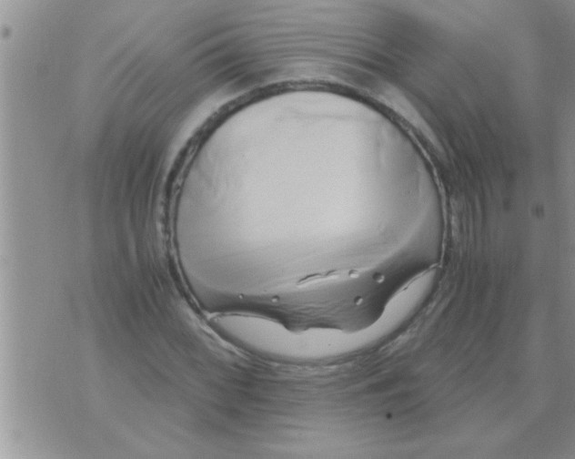 X0000071381068200607142105