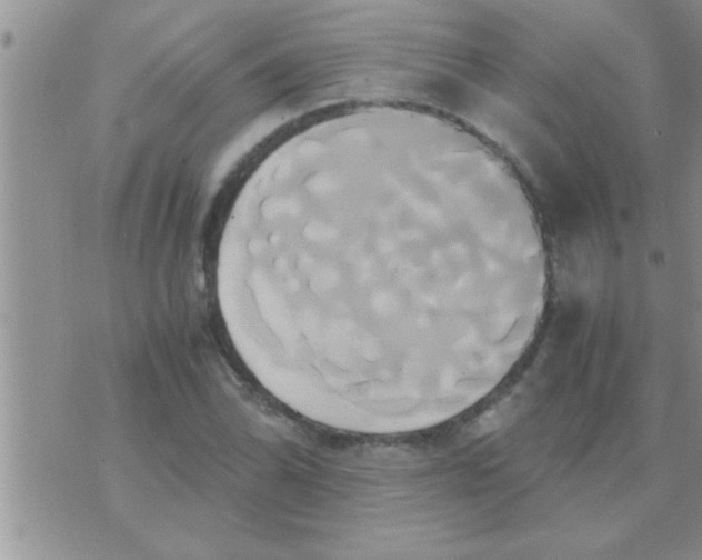 X0000071381070200607142105