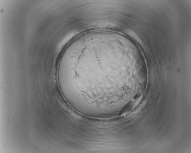 X0000071381071200607142105