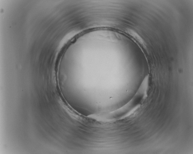 X0000071381072200607142105