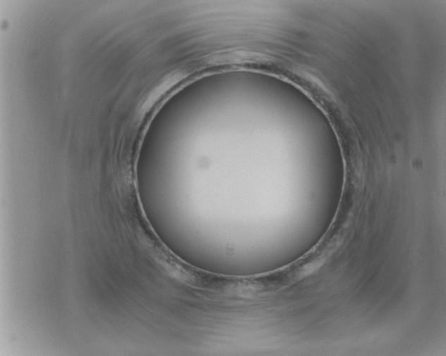 X0000071381073200607142105