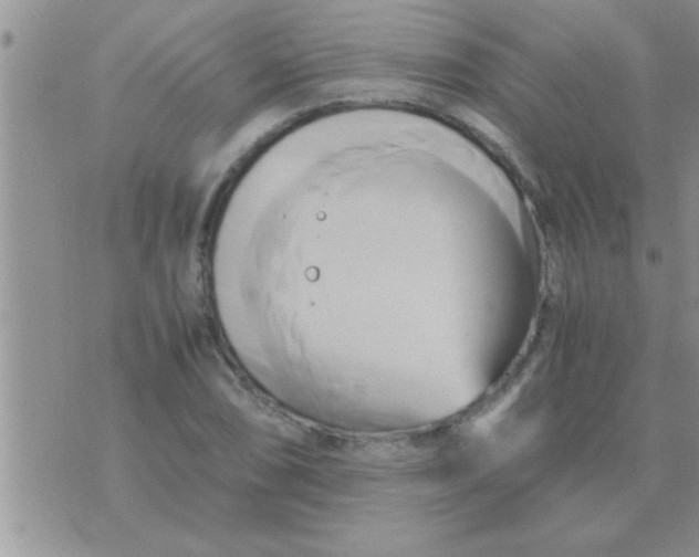 X0000071381074200607142105