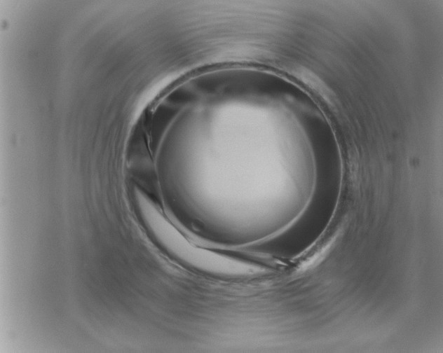 X0000071381077200607142104