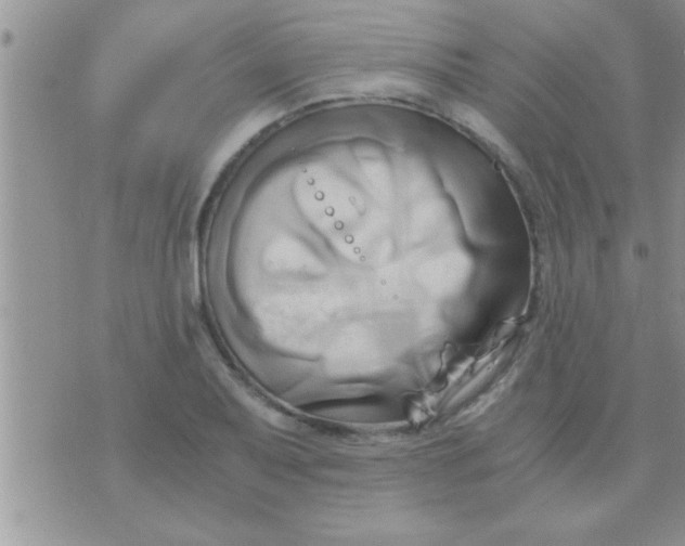 X0000071381079200607142104