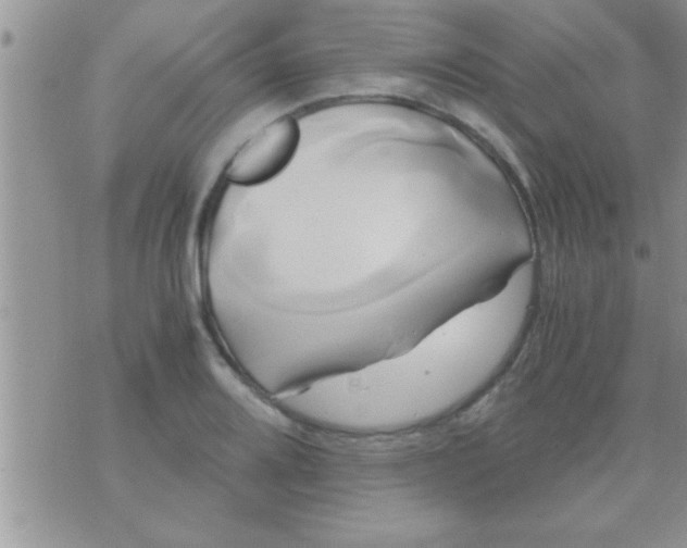 X0000071381080200607142104