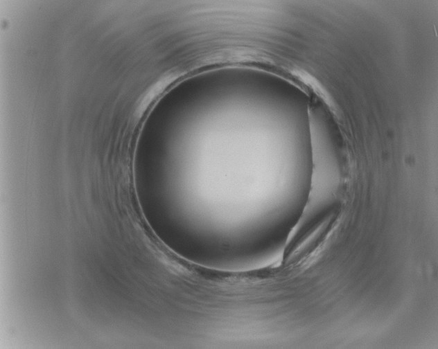 X0000071381081200607142104