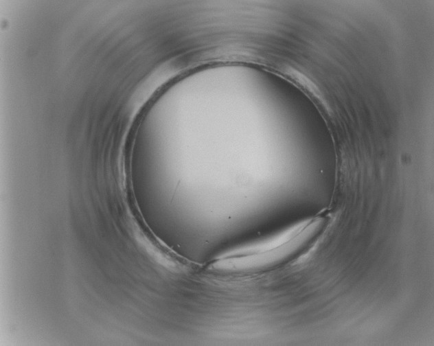 X0000071381082200607142104