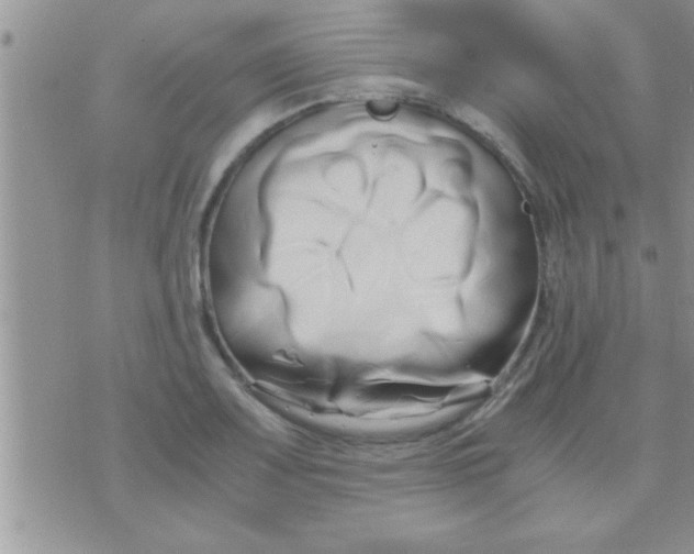 X0000071381083200607142104