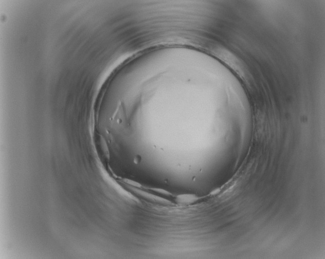 X0000071381084200607142104