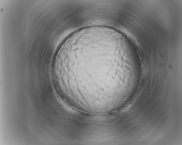 X0000071381086200607142104