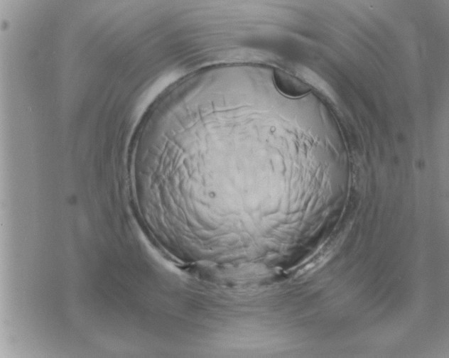 X0000071381087200607142104