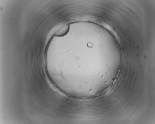 X0000071381088200607142104