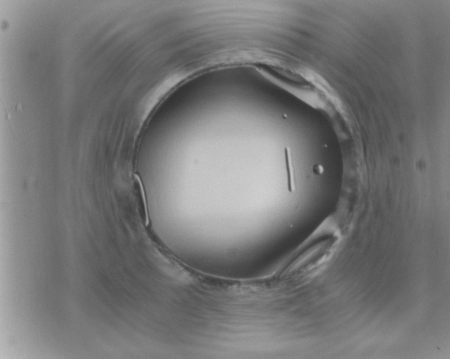 X0000071381089200607142104