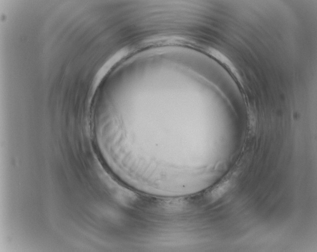 X0000071381090200607142104