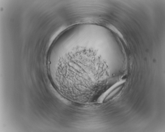 X0000071381091200607142104