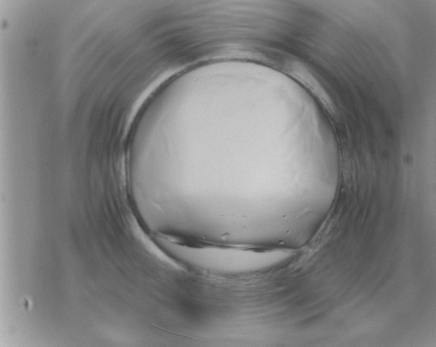 X0000071381092200607142104