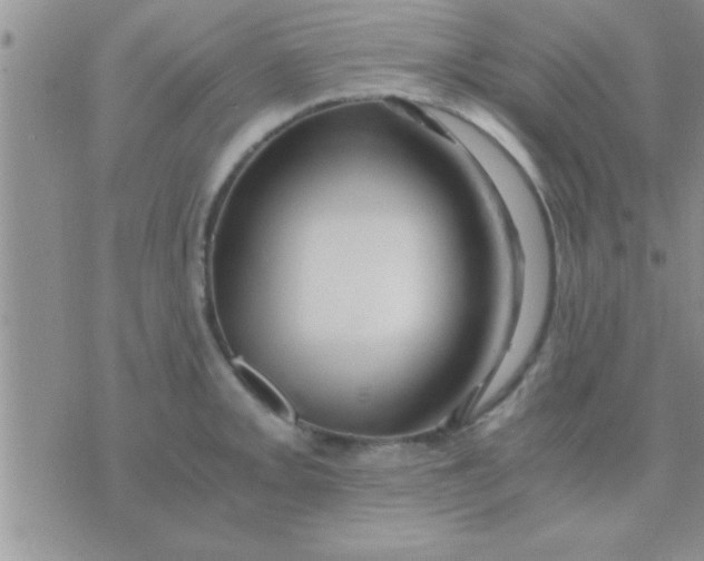 X0000071381093200607142104