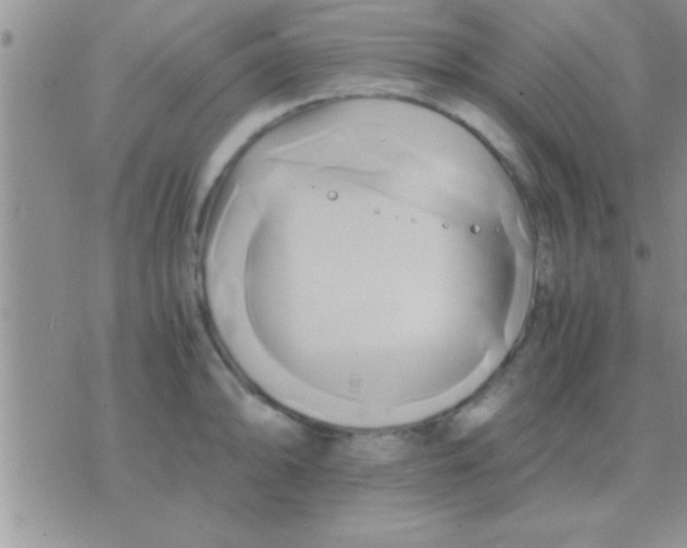 X0000071381094200607142104