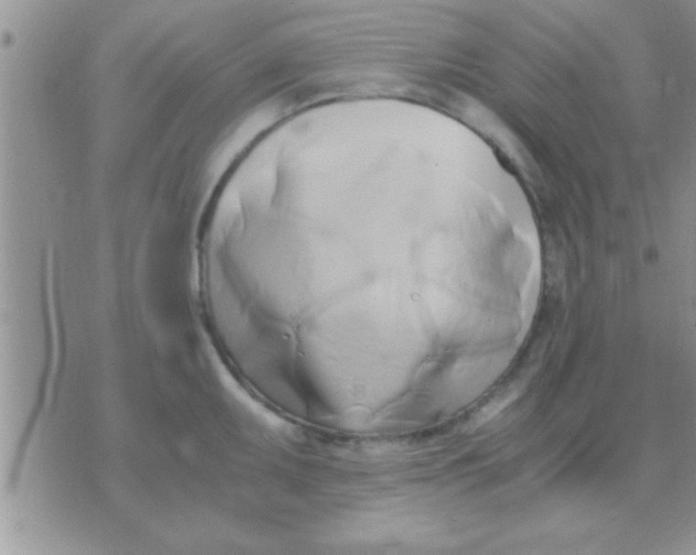 X0000071381095200607142104