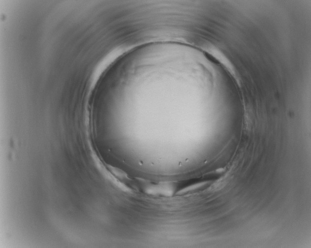 X0000071381096200607142104