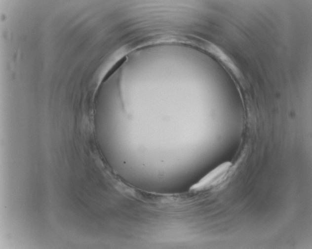 X0000071381097200607142104