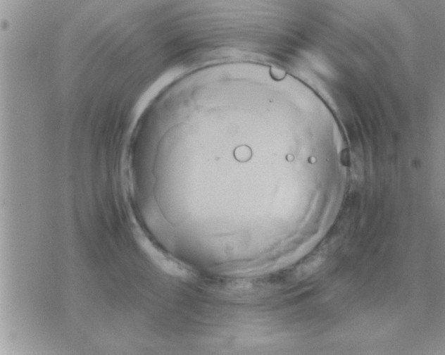 X0000071381098200607142104