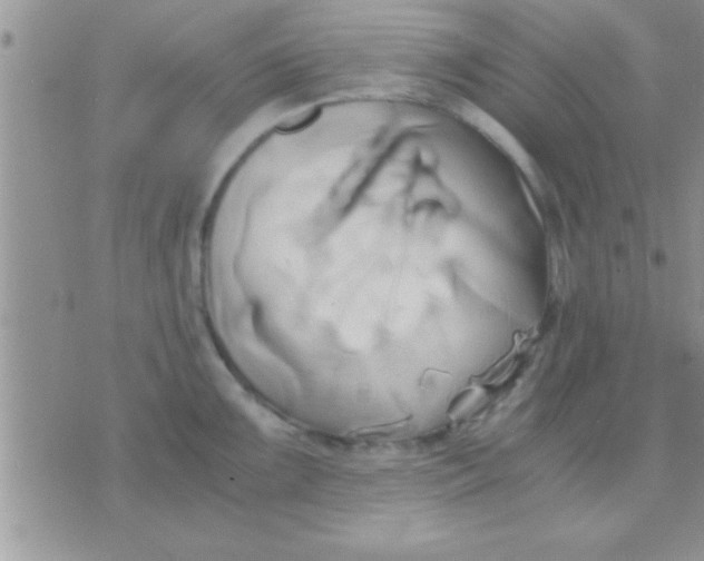 X0000071381099200607142104