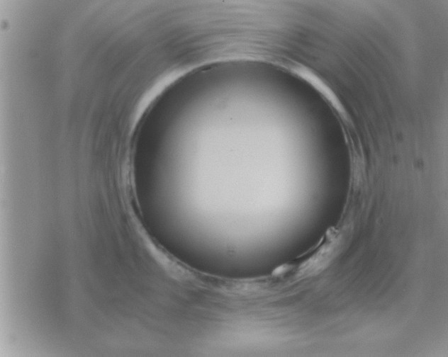 X0000071381101200607142104