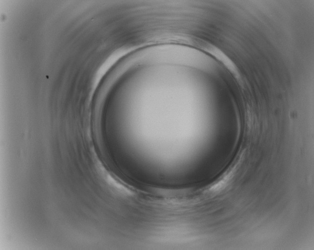 X0000071381102200607142104