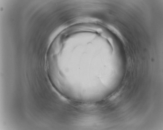 X0000071381103200607142104