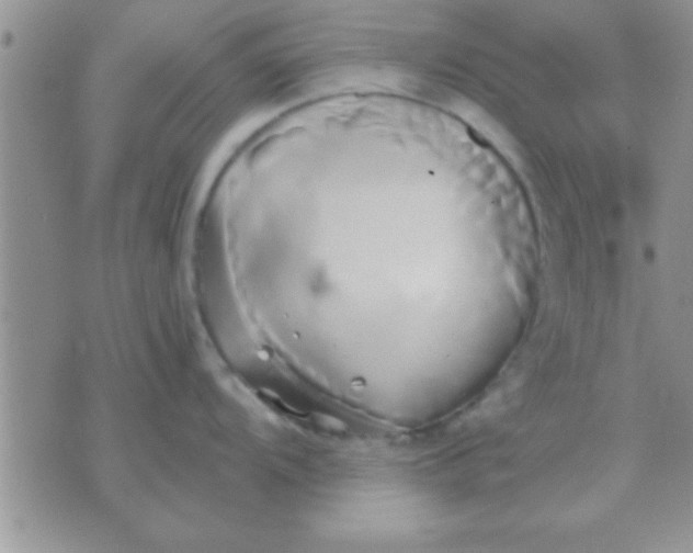 X0000071381104200607142104